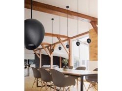 Ovum 1 pendant downlight