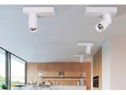 Santos Exposed Round