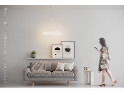 DONUT PENDANT 60 CCT REMOTE