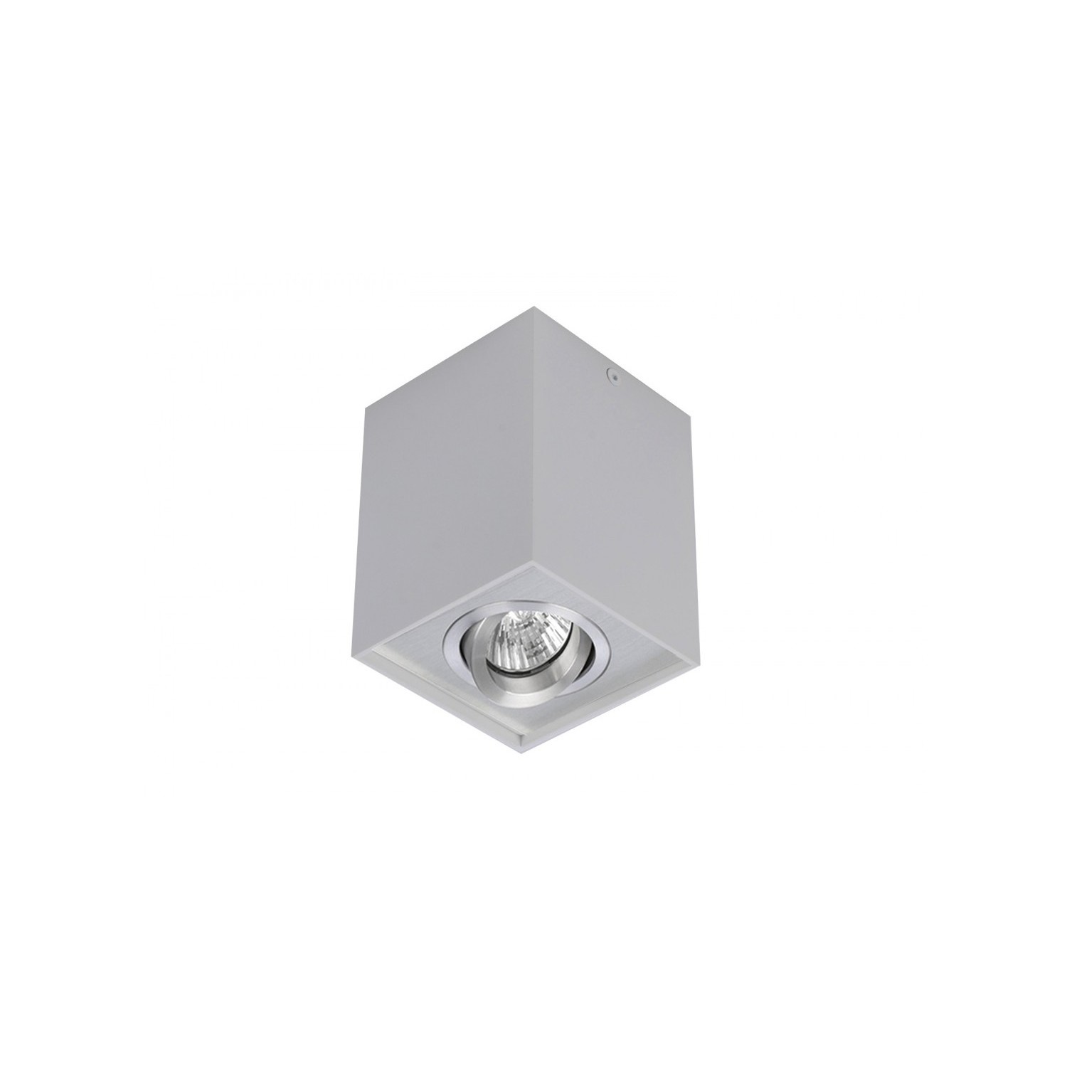 Lampa techniczna Eloy 1 BGR