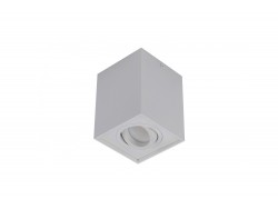 Lampa techniczna Eloy 1 BGR