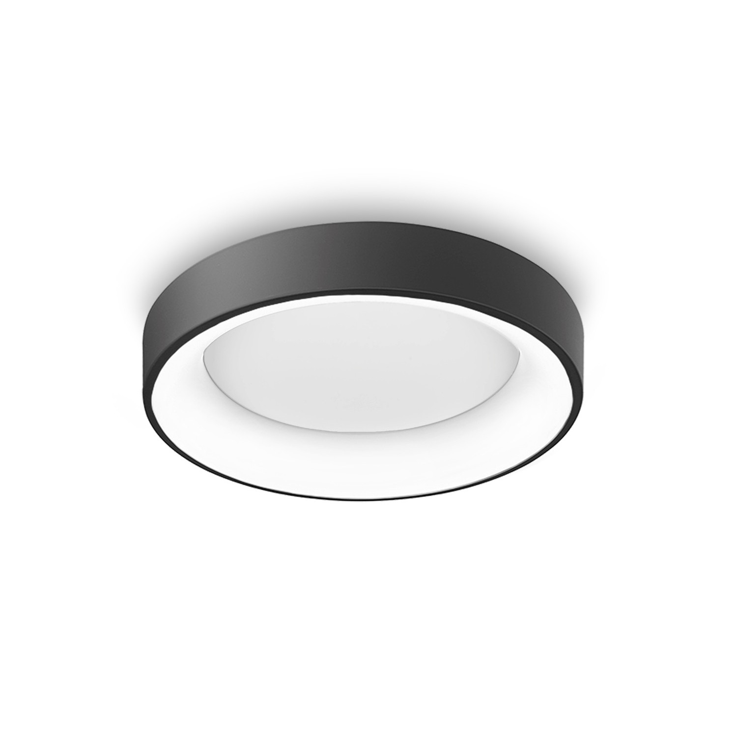 Sovana Top 80 CCT Sovana Top 80 CCT