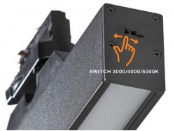 LINNEA 29 TRACK 3 LINE 12W CCT