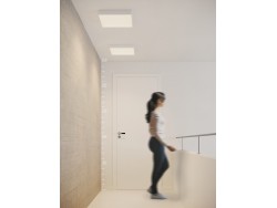 MONZA S 40 CCT + PILOT 