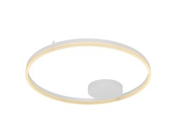 AZ4958 - HALO 80 TOP.png