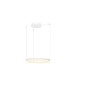HALO PENDANT 60 WH HALO PENDANT 60 WH