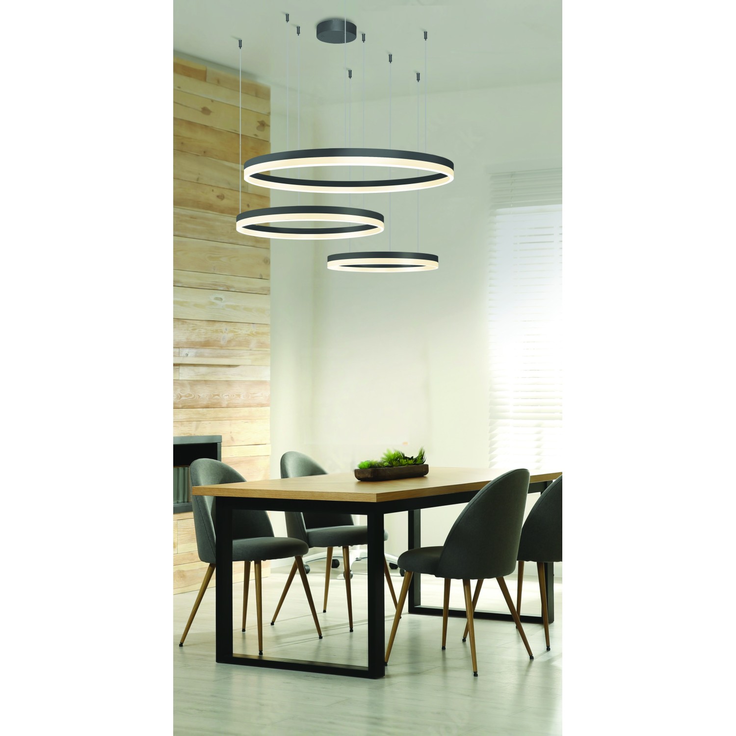 HALO PENDANT 120+100+80 CCT BK + REMOTE CONTROL HALO PENDANT 120+100+80 CCT BK + REMOTE CONTROL